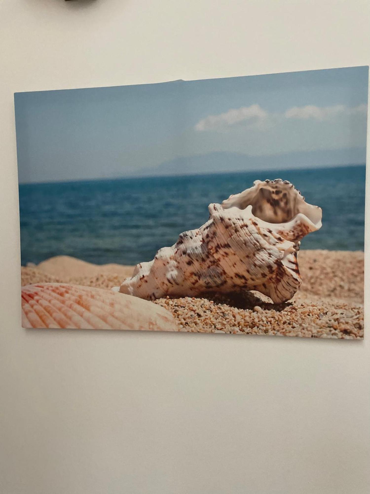Case Vacanza Trappetodavivere Trappeto  Dış mekan fotoğraf